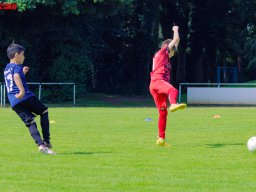 Hillen Cup 2024